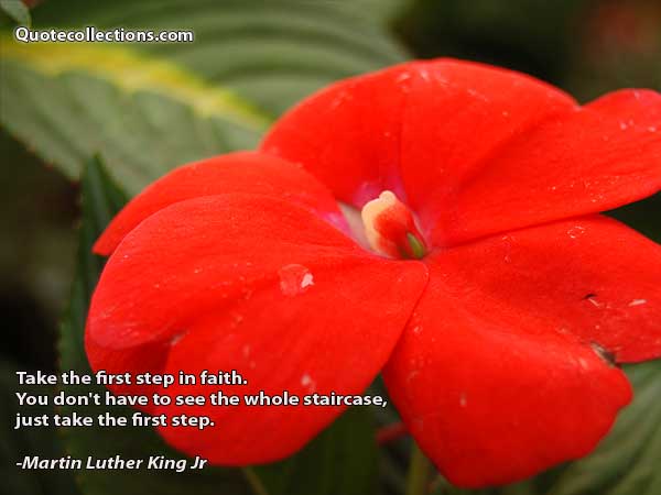 Martin Luther King, Jr. quotes5